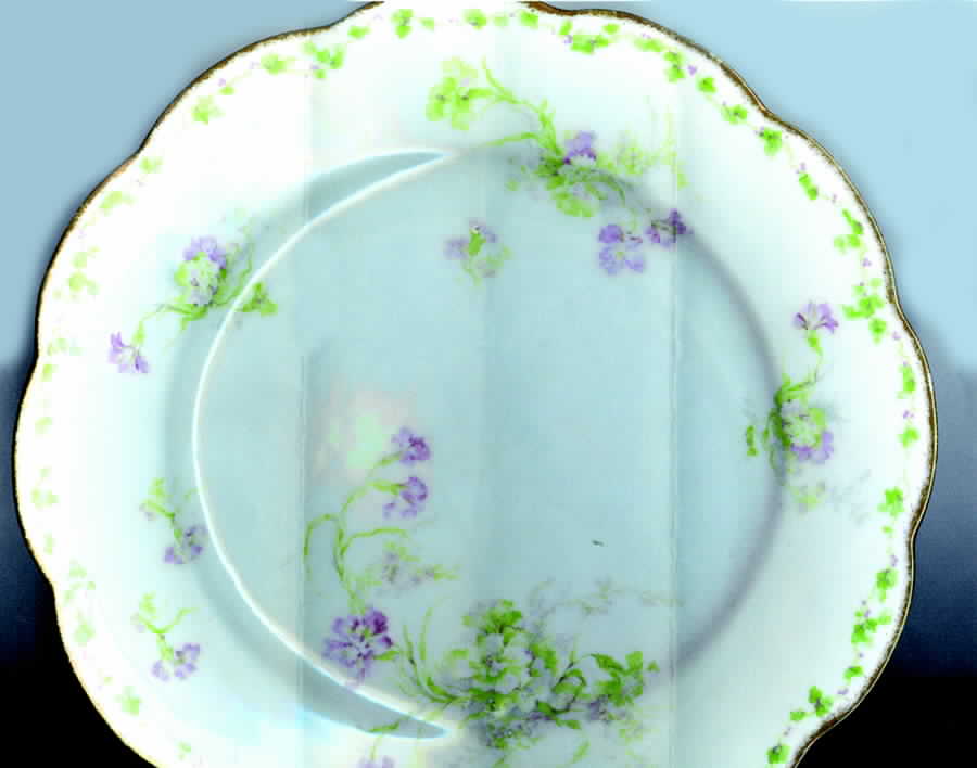 LNT216 Dinner Plate by Lanternier-1