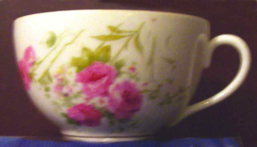 1036 Flat Cup by Lazarus Straus & Sons-1