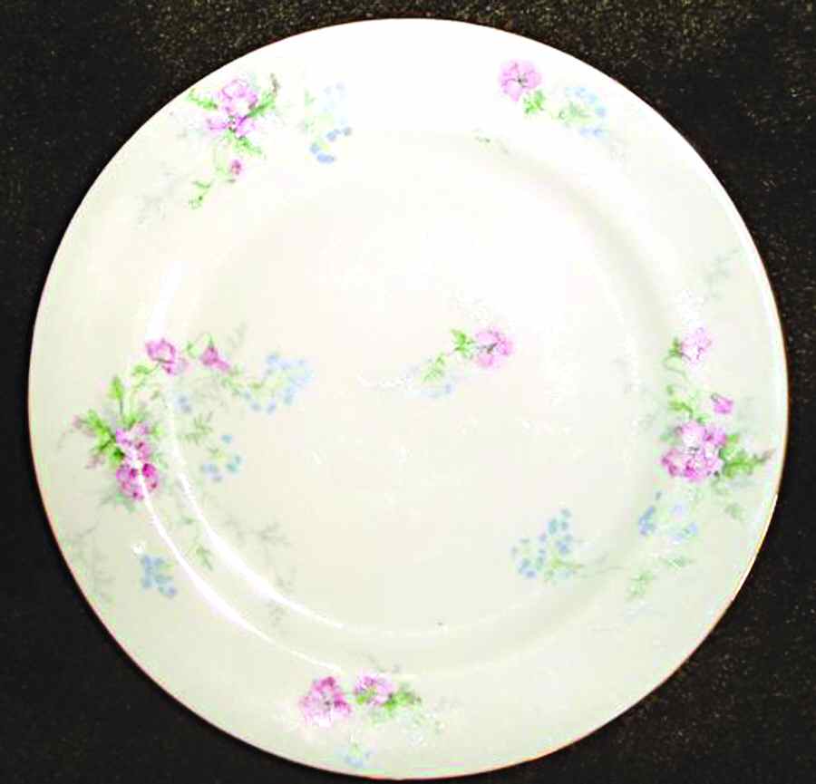 LIM266 Dinner Plate by Limoges-French-1