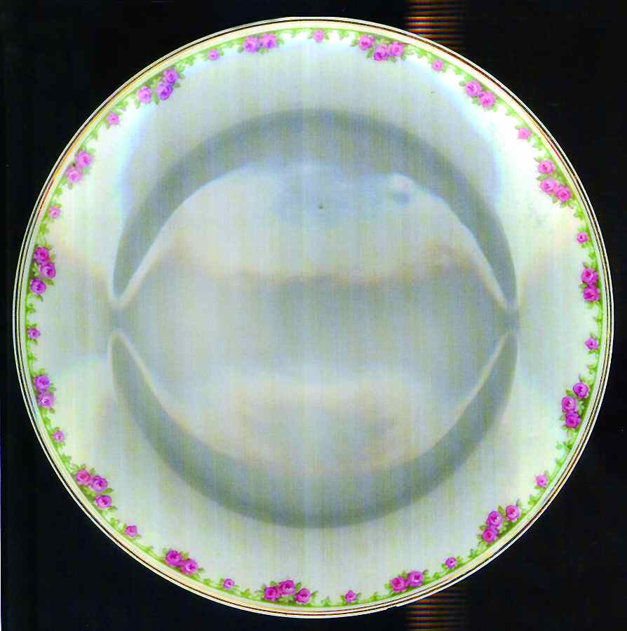 4407 Salad Plate by Lazarus Straus & Sons-1