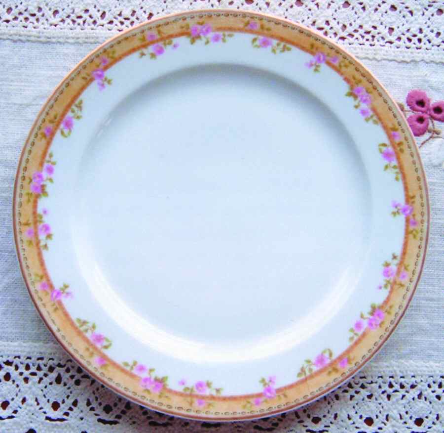 LSS155 Dinner Plate by Lazarus Straus & Sons-1