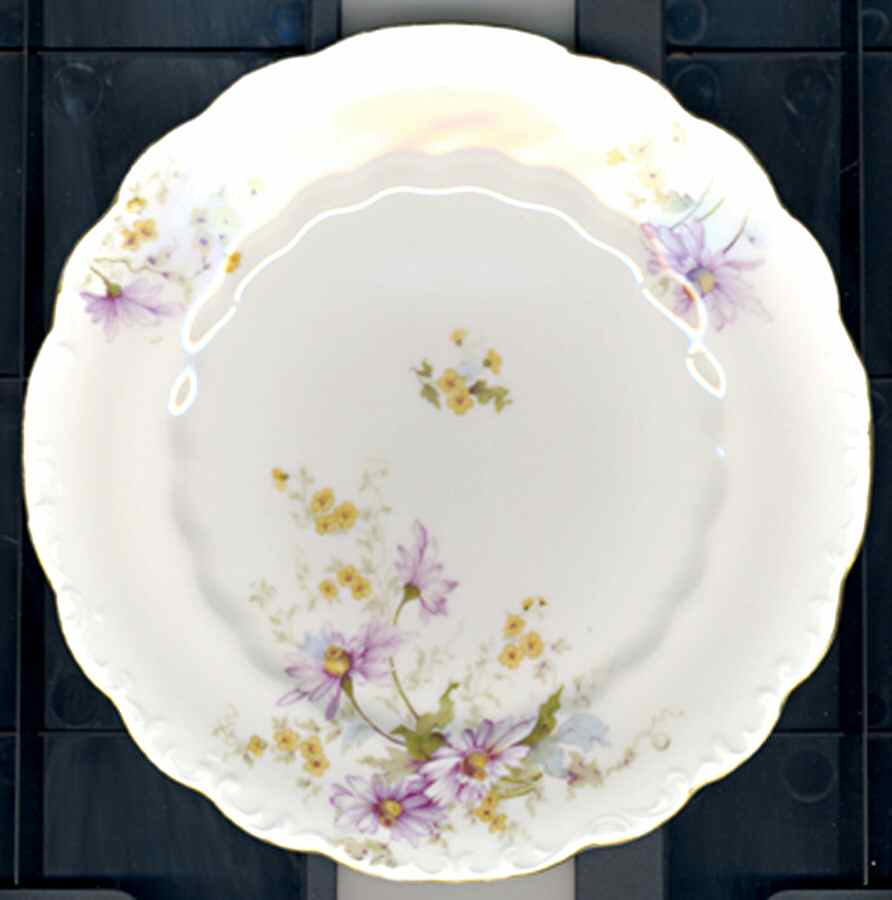 448 Dinner Plate by Lazarus Straus & Sons-1