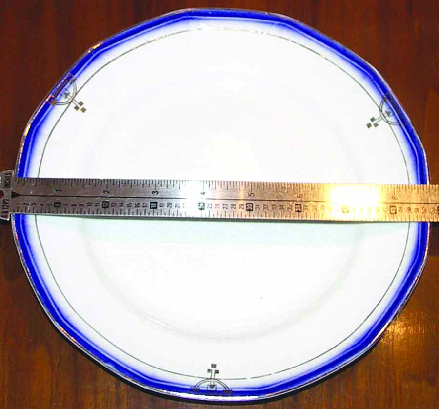LIA105 Salad Plate by Limoges-American-1