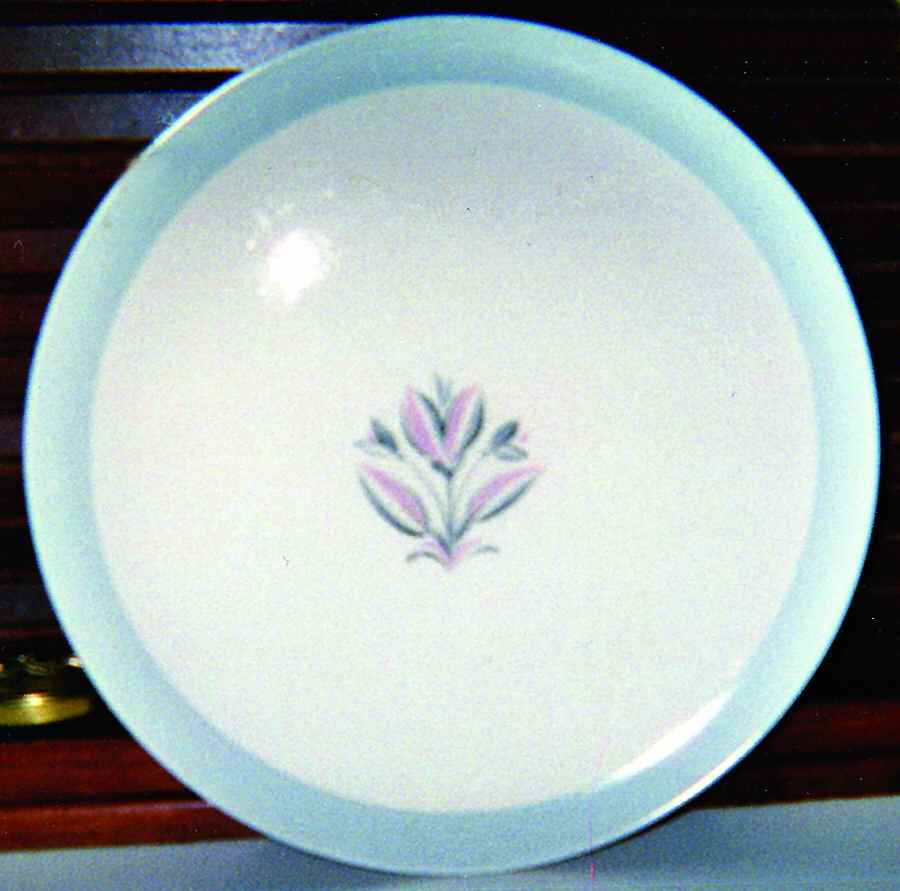 LIA109 Dinner Plate by Limoges-American-1