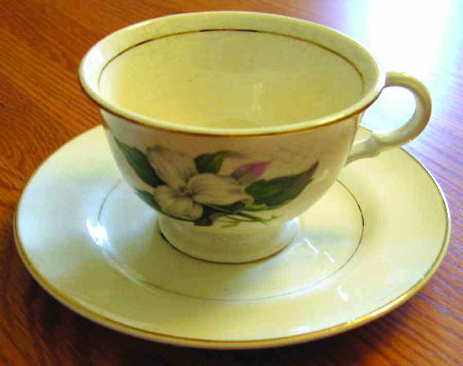 Trillium Footed Cup & Saucer Set by Limoges-American-1