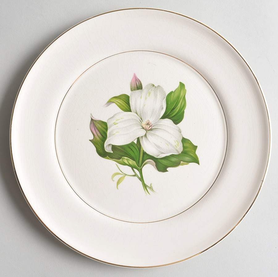 Trillium Dinner Plate by Limoges-American-1