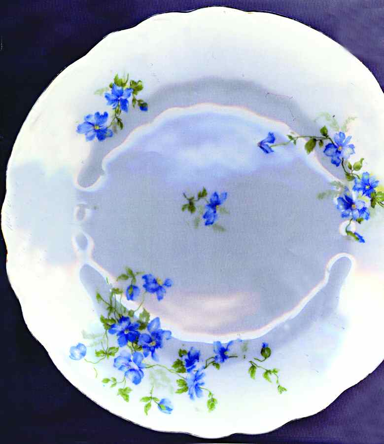 434 Dinner Plate by Lazarus Straus & Sons-1