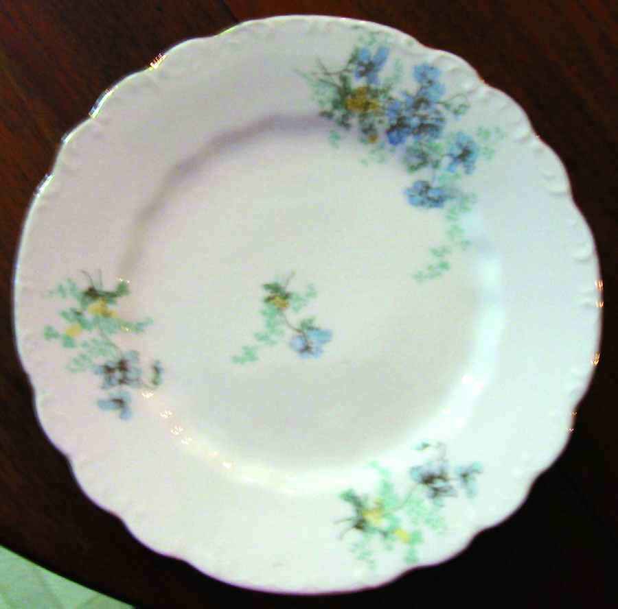 LSS166 Dinner Plate by Lazarus Straus & Sons-1