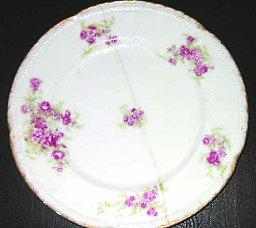 LIM294 Dinner Plate by Limoges-French-1