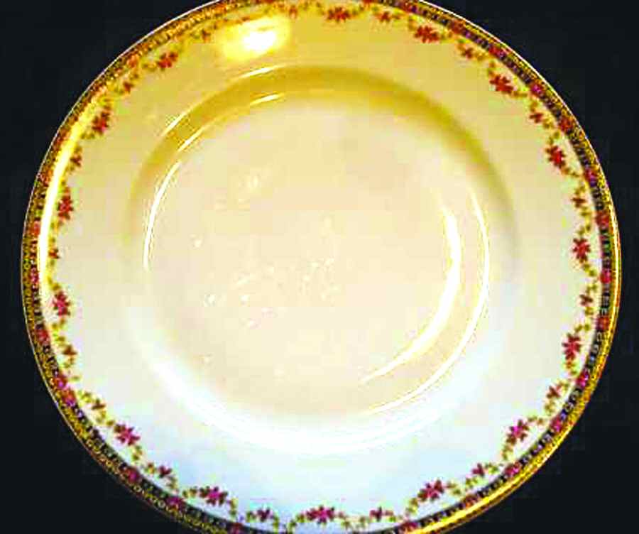 LSS167 Dinner Plate by Lazarus Straus & Sons-1