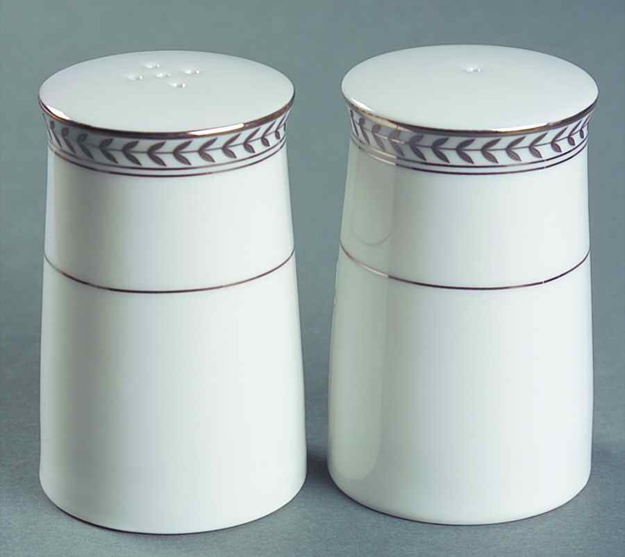 Claremont Platinum Salt & Pepper Set by Ralph Lauren China-1