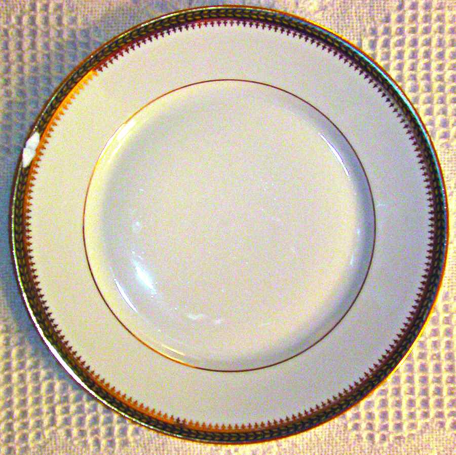 LIM305 Dinner Plate by Limoges-French-1