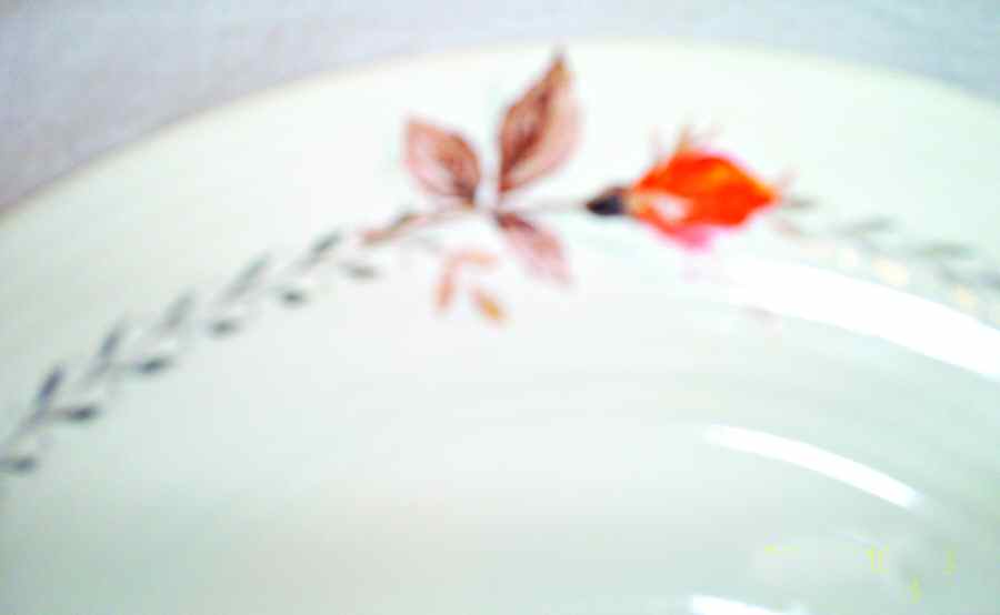 Vermillion Buds Saucer by Limoges-American-1