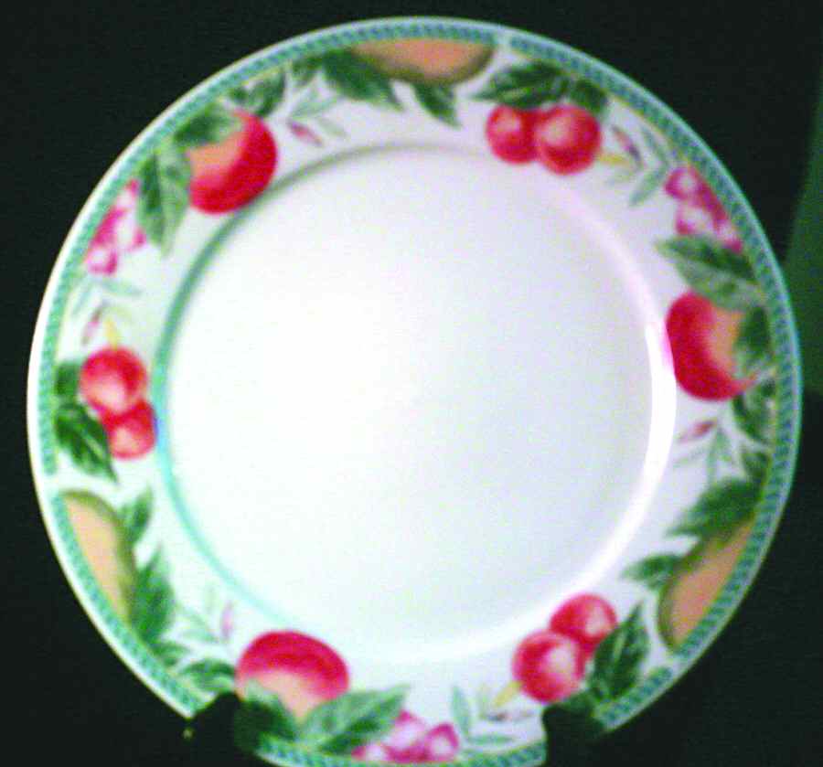 Citrus Marmalade Dinner Plate by Lynn's China-1