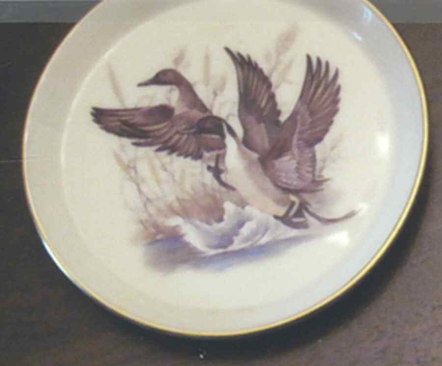 L118 Coaster by Lenox-1