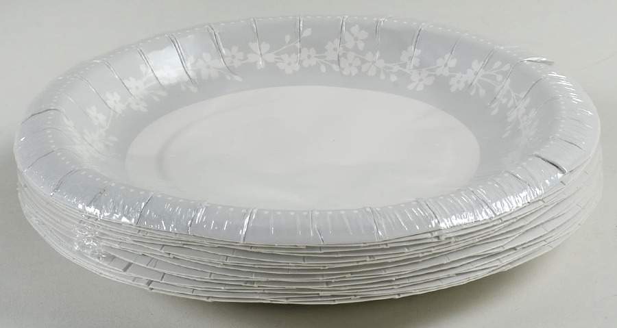 Bellina (Platinum Trim) (Pack of 16) Paper Luncheon/Dessert Plates by Lenox-1