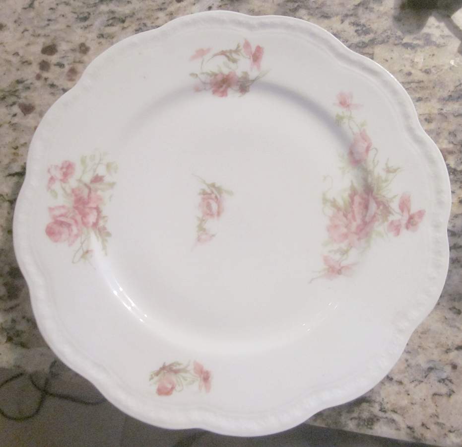 LNT262 Dinner Plate by Lanternier-1