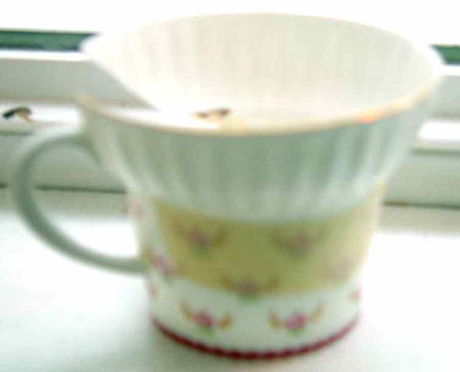 Roses Flat Cup by Lomonosov-1