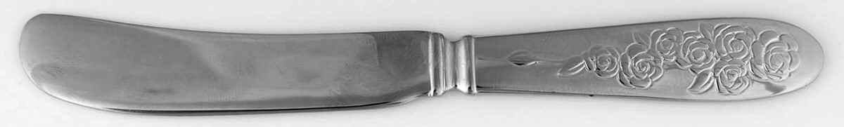 Accoutrements Solid Stainless Serving Canape Knife by Lenox-1