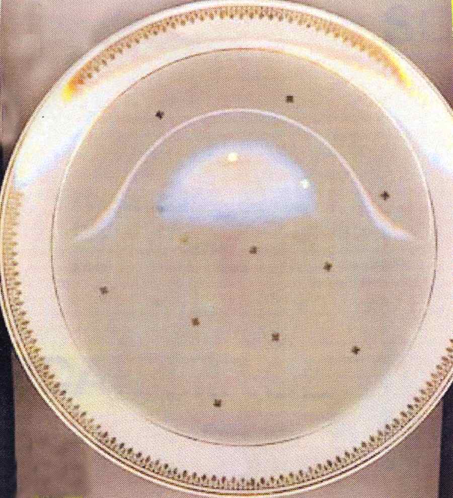 LIM388 Dinner Plate by Limoges-French-1