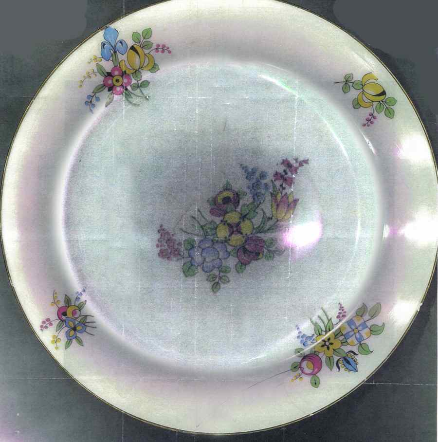 LIM396 Dinner Plate by Limoges-French-1