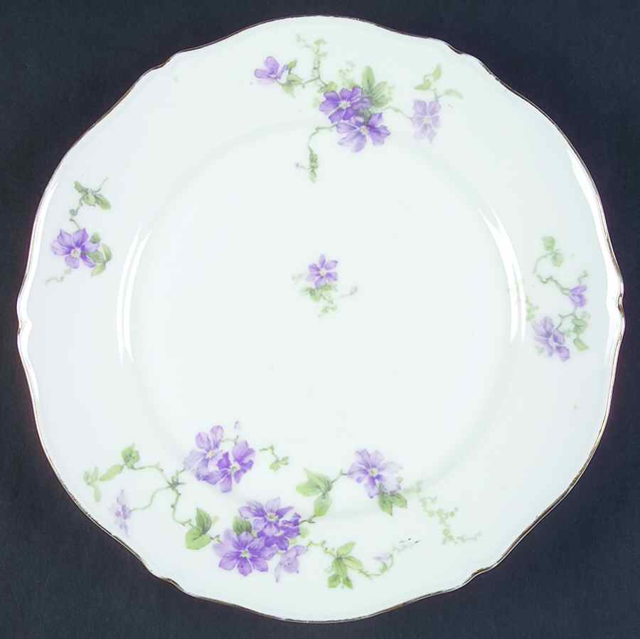 LSS182 Dinner Plate by Lazarus Straus & Sons-1