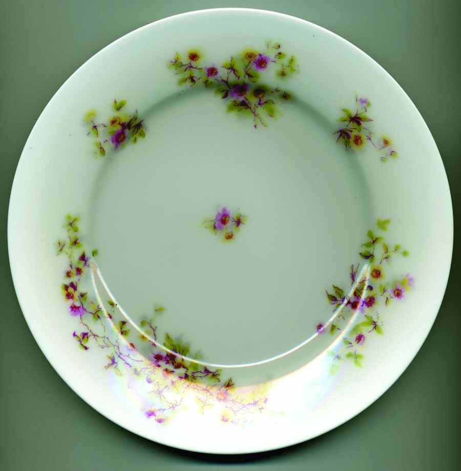 LNT272 Dinner Plate by Lanternier-1
