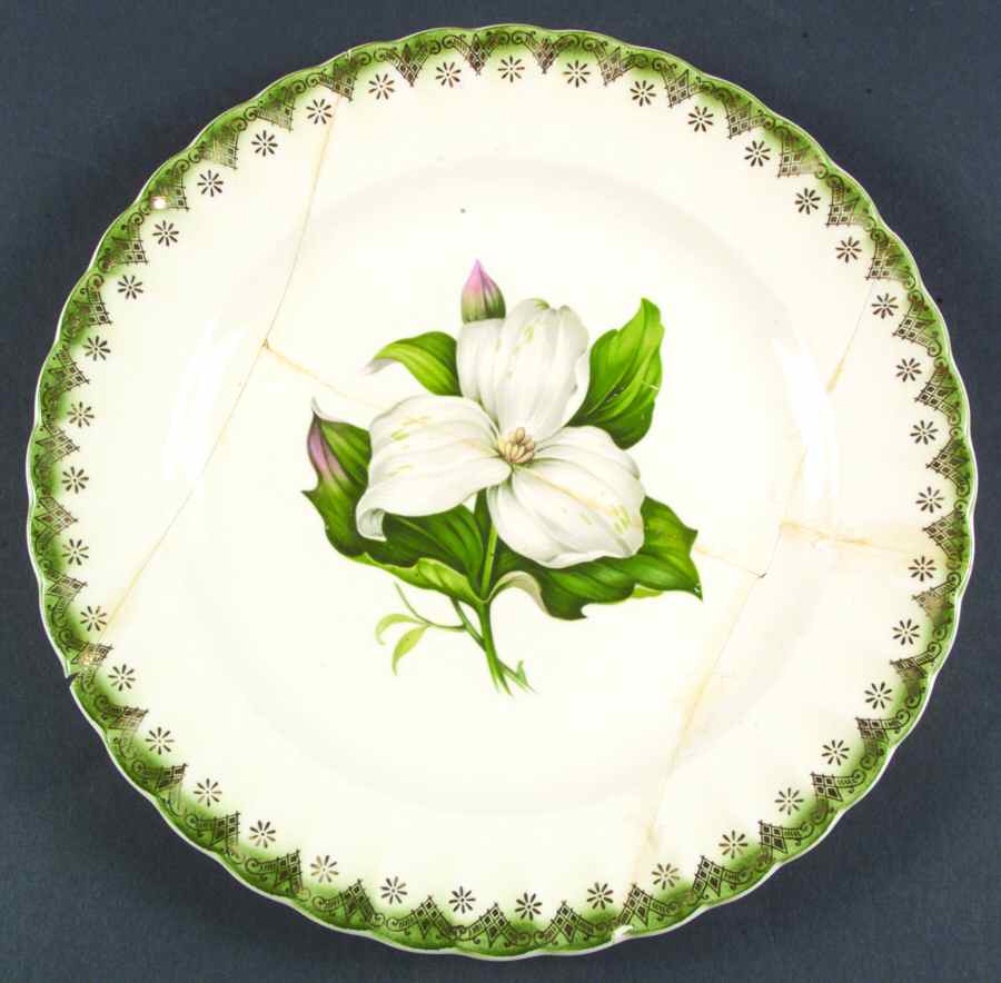 Trillium (Mandarin Green) Dinner Plate by Limoges-American-1