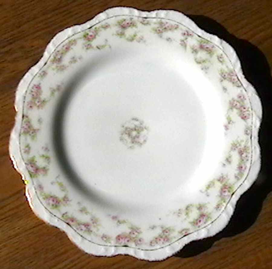 LIM422 Dinner Plate by Limoges-French-1