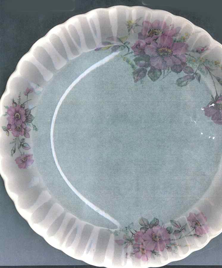Wild Rose (No Trim) Dinner Plate by Limoges-American-1