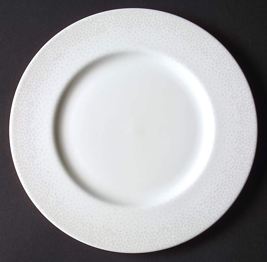Effervescent Luncheon/Salad Plate by Lenox-1