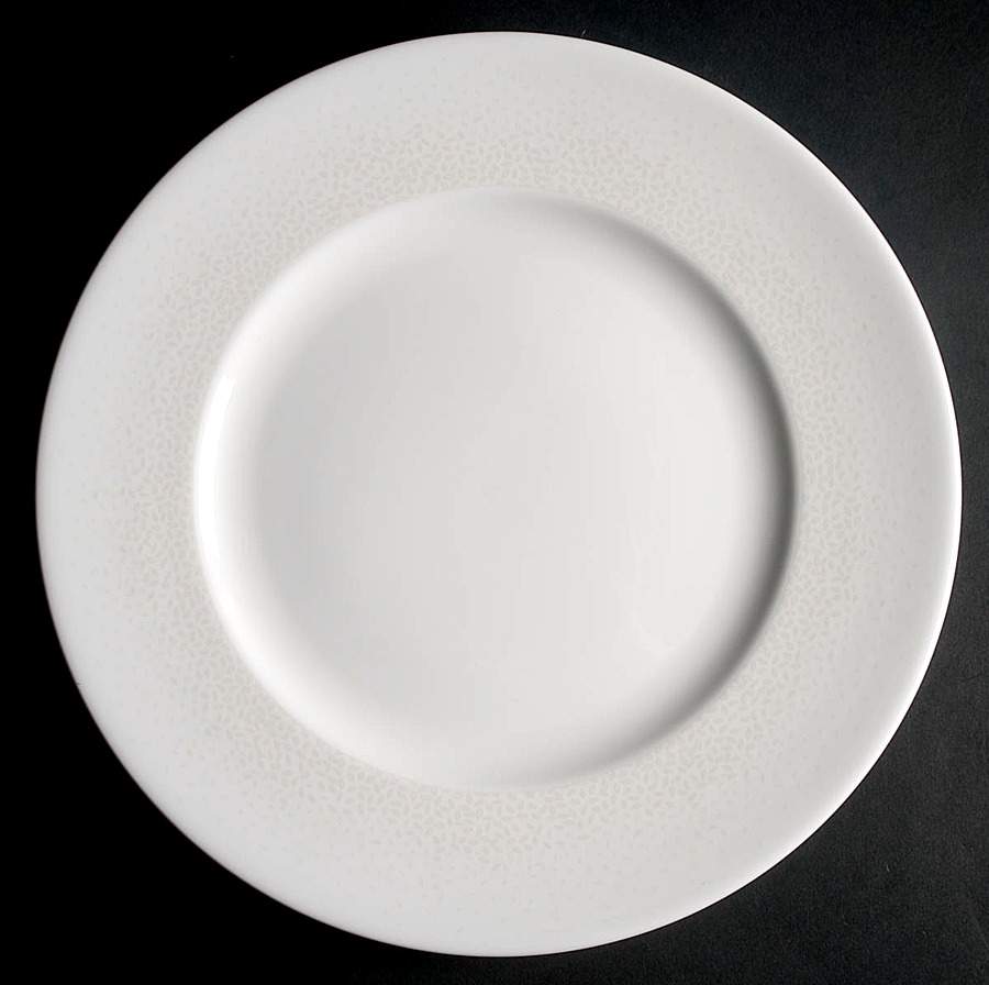 Effervescent Dinner Plate by Lenox-1