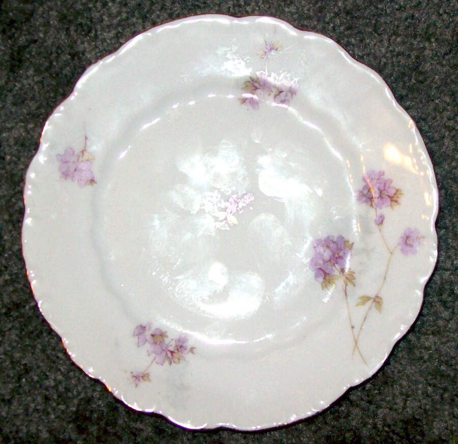 165 Dinner Plate by Lazarus Straus & Sons-1