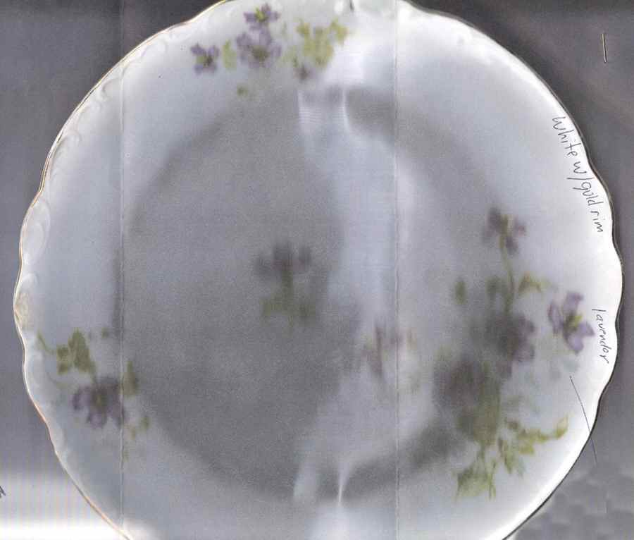 762 Dinner Plate by Lazarus Straus & Sons-1