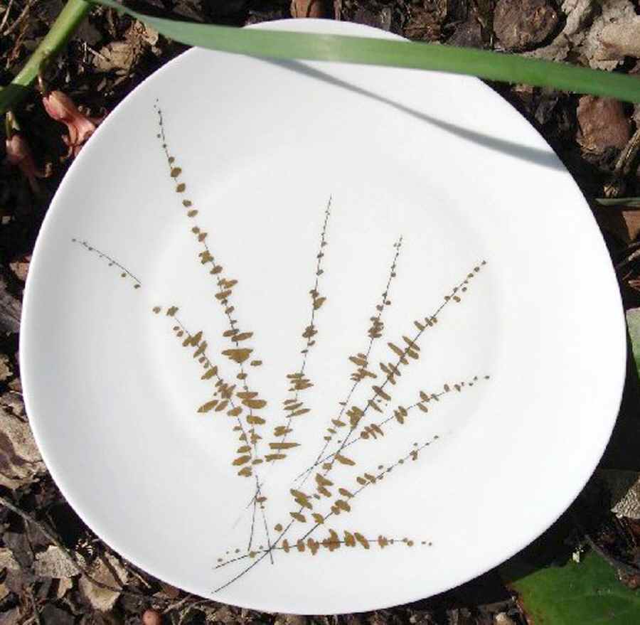 LIM438 Salad Plate by Limoges-French-1