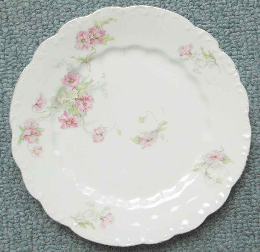 1617 Dinner Plate by Lazarus Straus & Sons-1