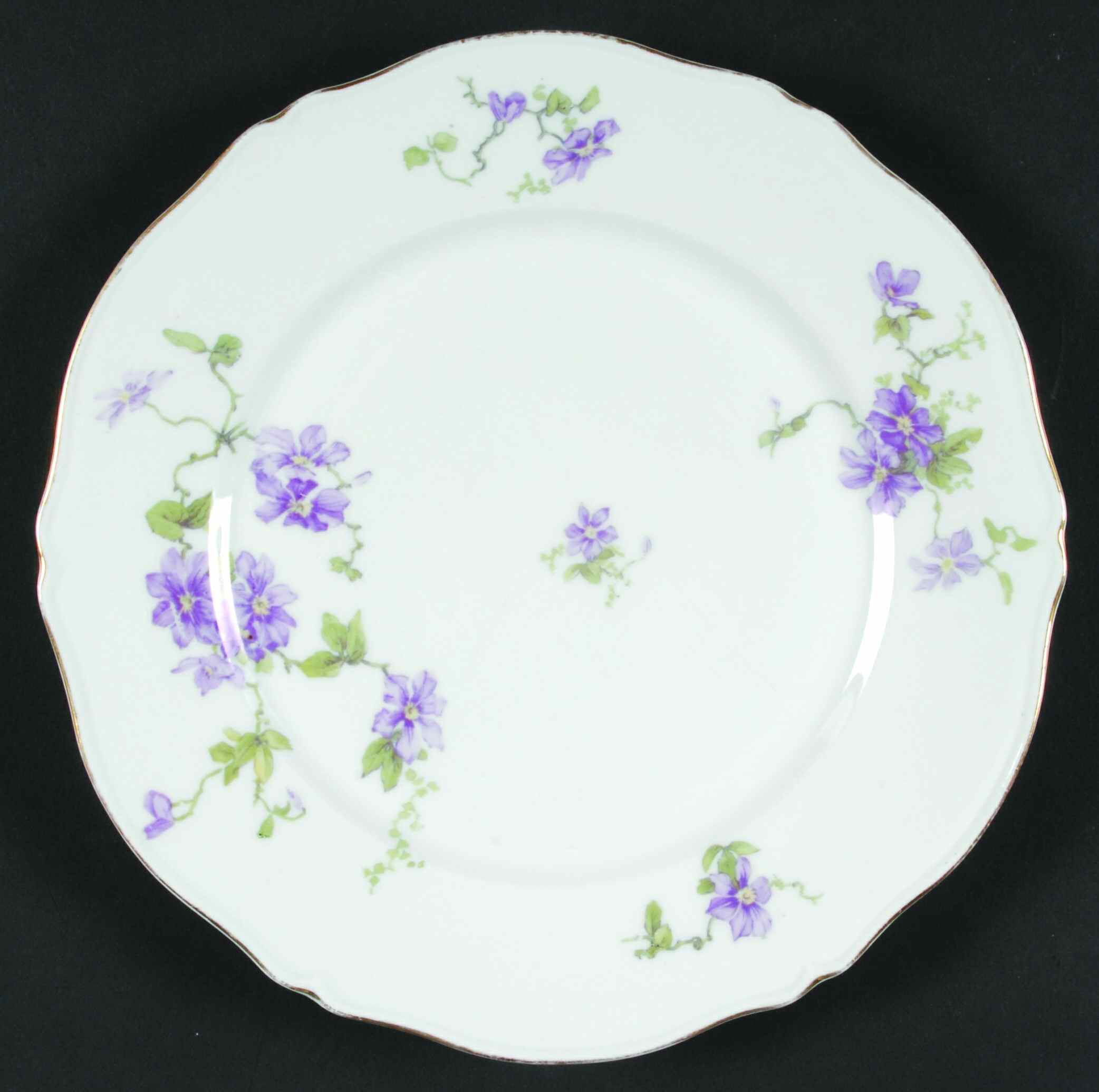 1010 Dinner Plate by Lazarus Straus & Sons-1