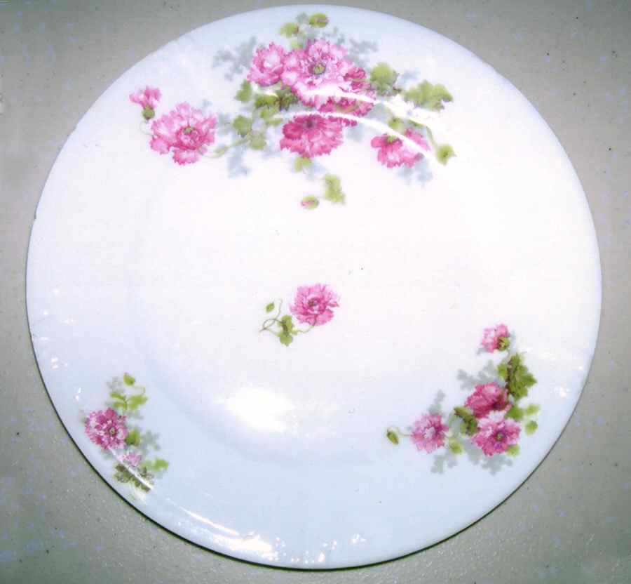 LSS204 Dinner Plate by Lazarus Straus & Sons-1