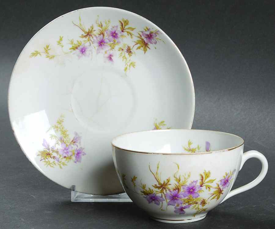 303 Flat Cup & Saucer Set by Lazarus Straus & Sons-1