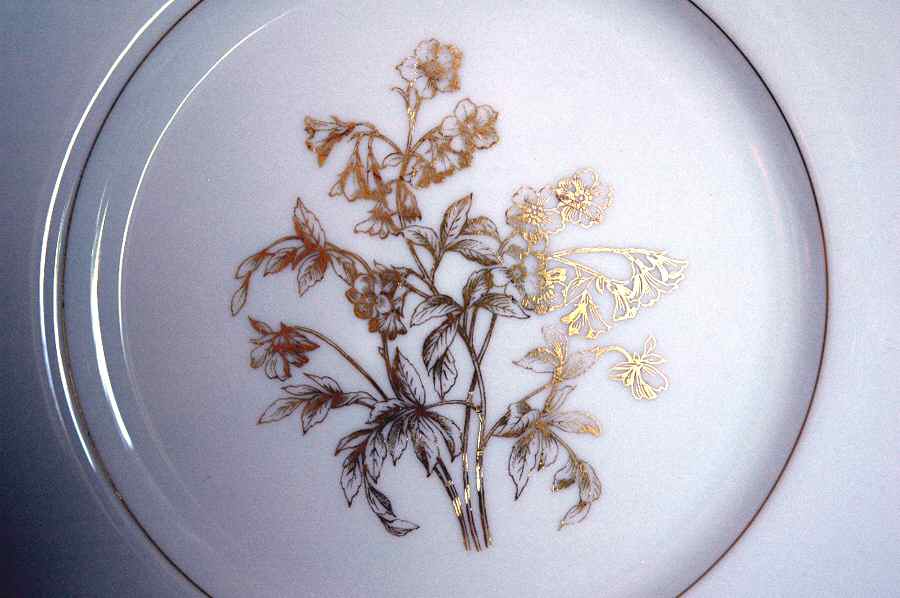 T372 Dinner Plate by Lenox-1