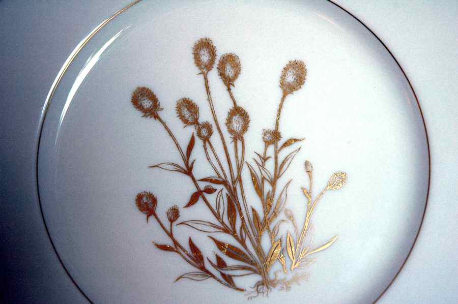 T372 Dinner Plate by Lenox-1