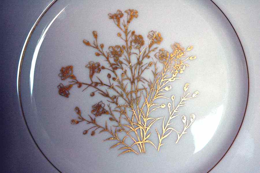 T372 Dinner Plate by Lenox-1