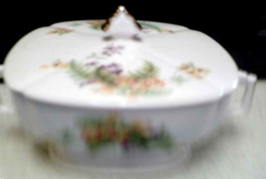 Primrose Round Covered Vegetable by Limoges-American-1