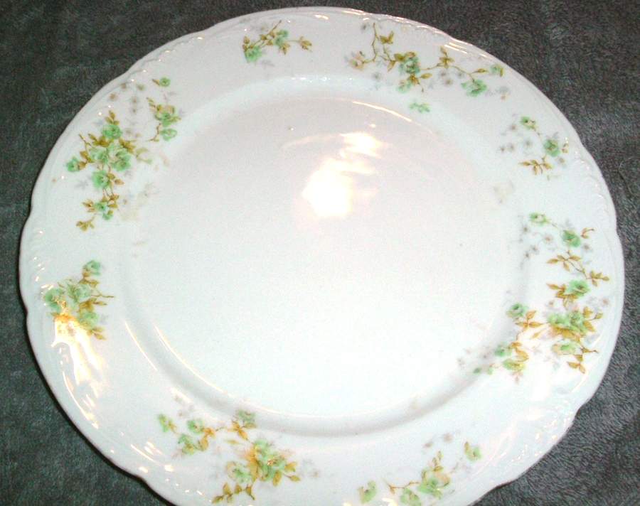 LSS213 Luncheon Plate by Lazarus Straus & Sons-1