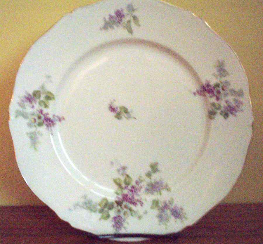 1607 Dinner Plate by Lazarus Straus & Sons-1