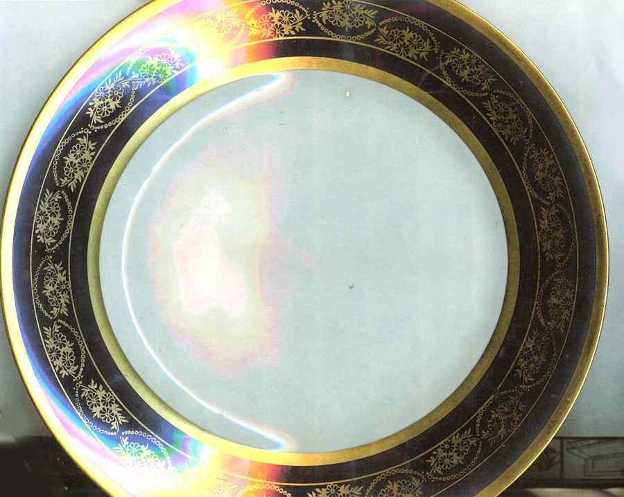 LIM473 Dinner Plate by Limoges-French-1