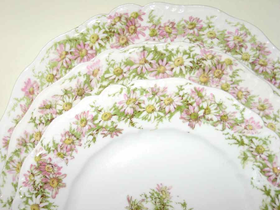LRI8 Dinner Plate by LRL Limoges-1