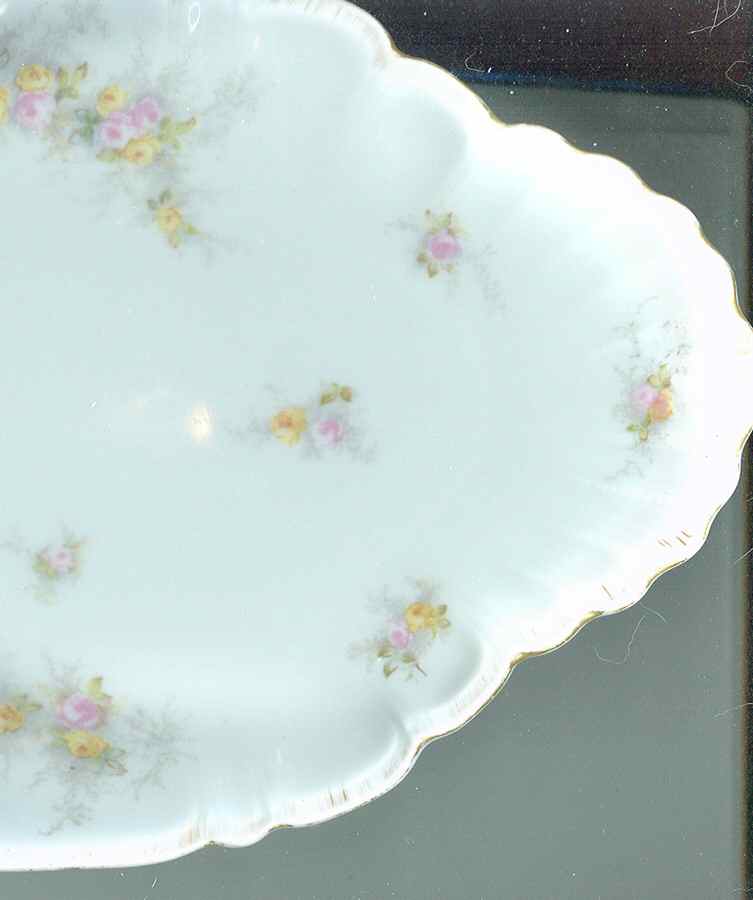 2822 14" Oval Serving Platter by Lazarus Straus & Sons-1