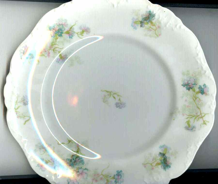 LNT307 Dinner Plate by Lanternier-1