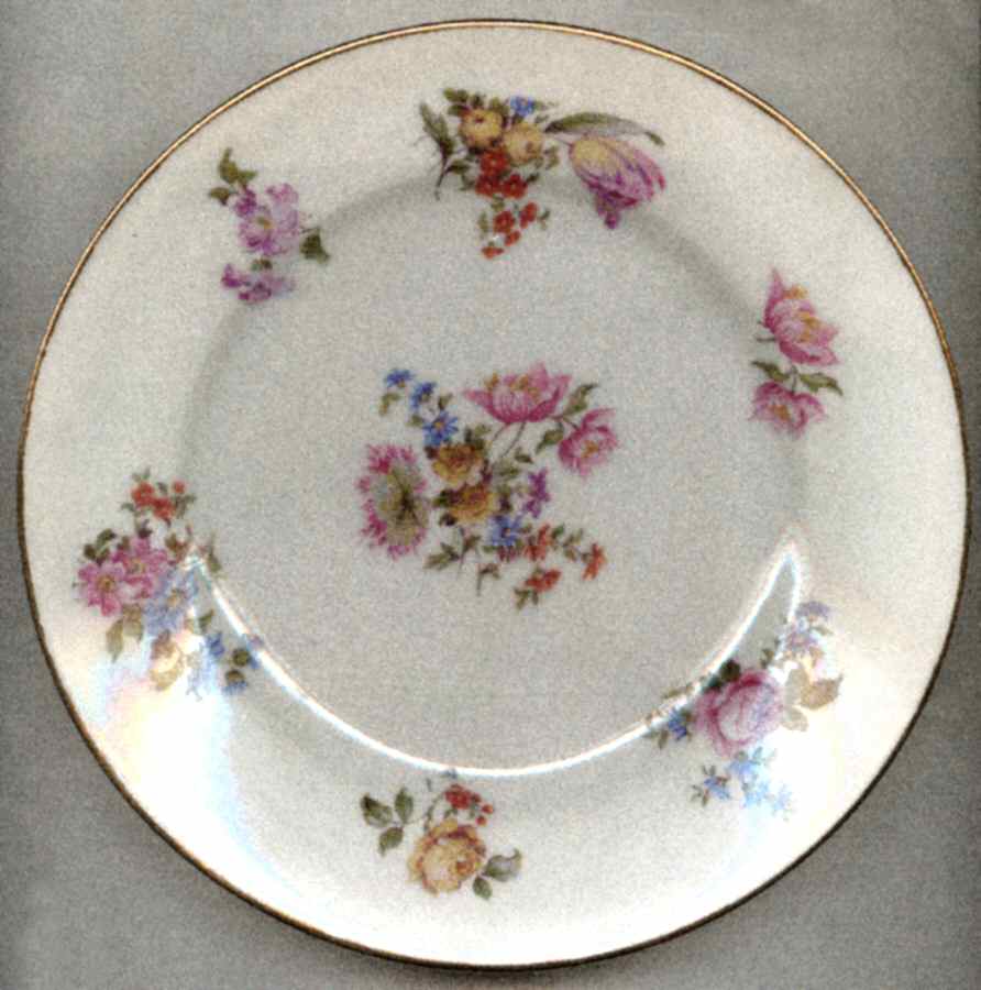 LIM481 Salad Plate by Limoges-French-1